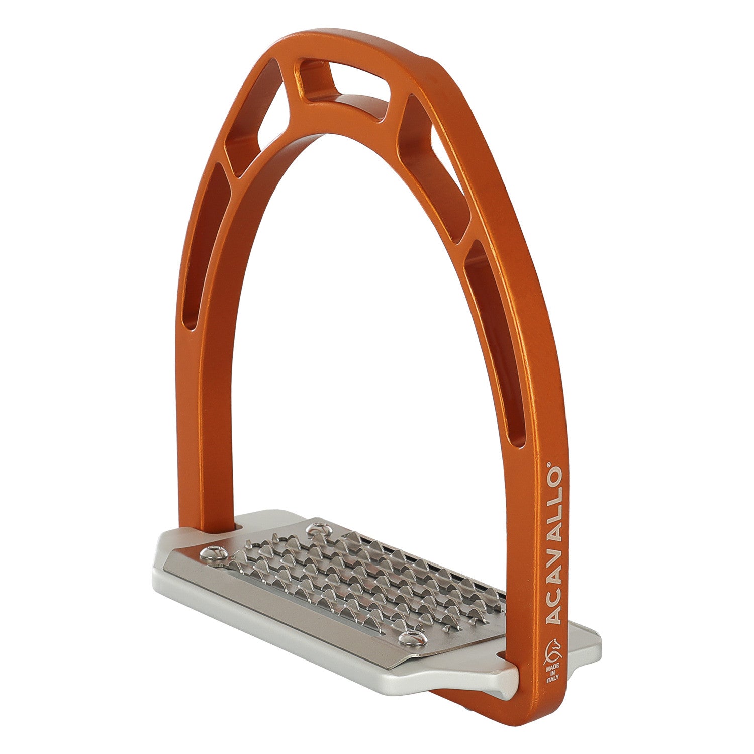 Arco Evolution Alupro stirrups.