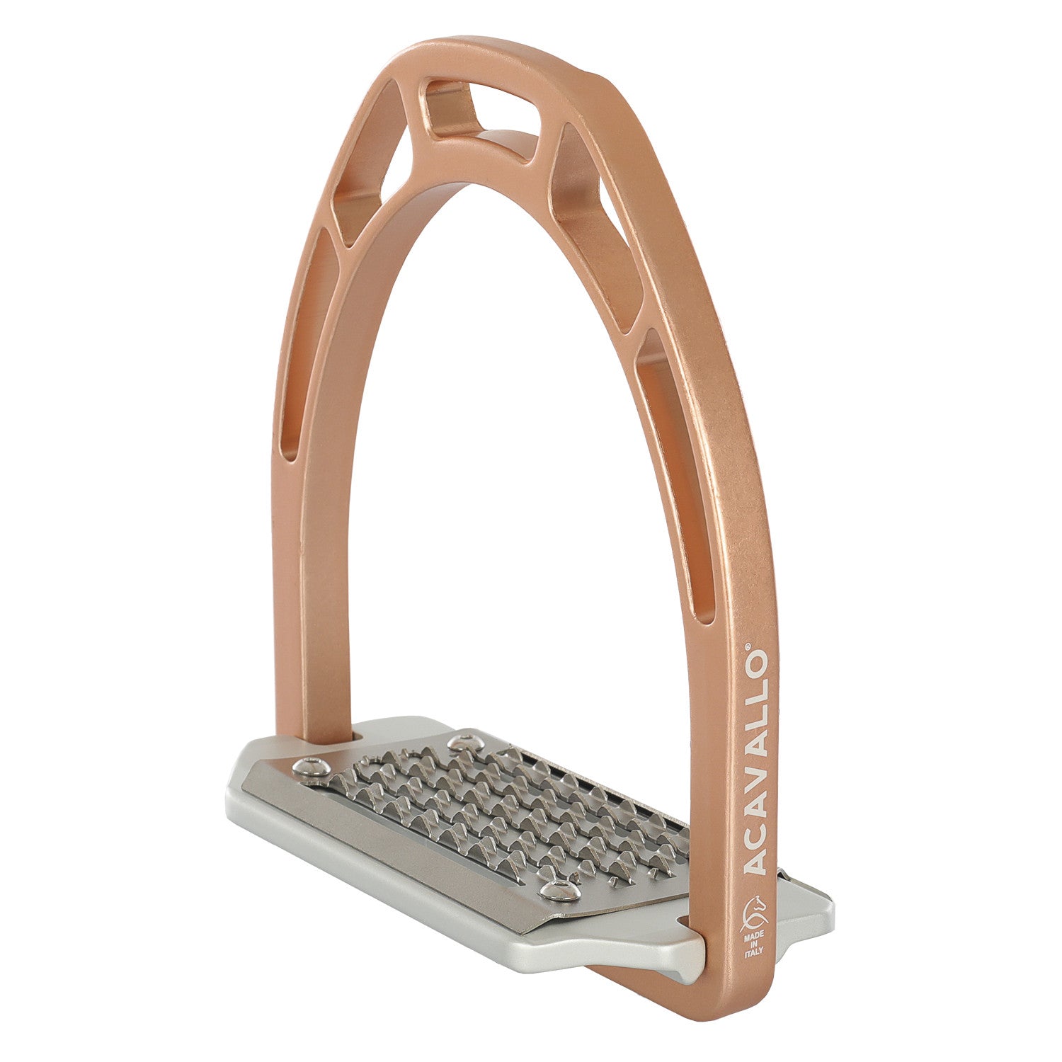 Arco Evolution Alupro stirrups.