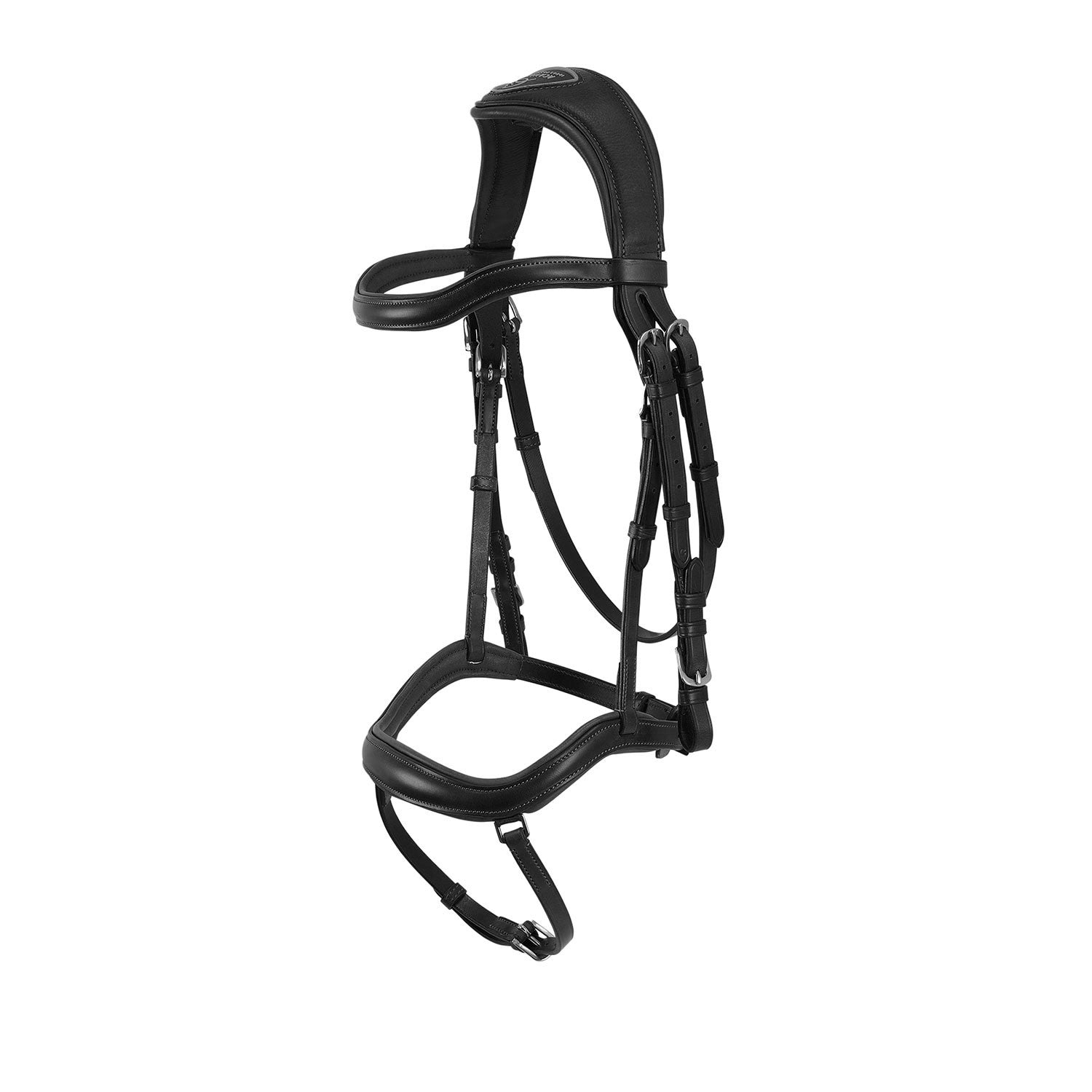 Allegoria anatomic bridle.