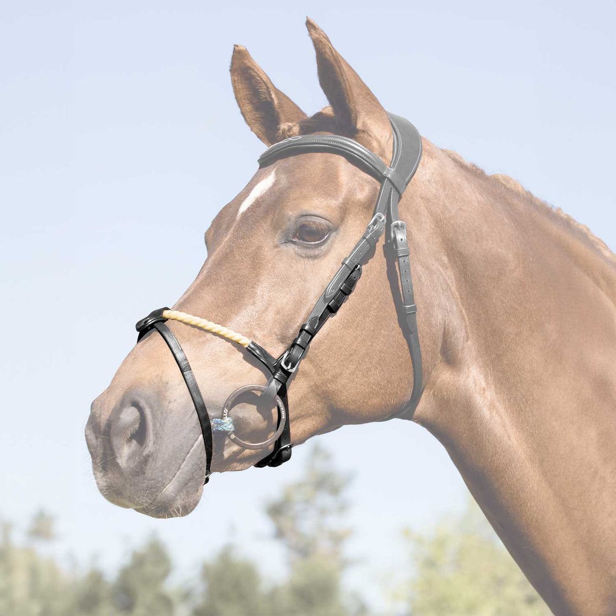 Acavallo Rope Flash Noseband