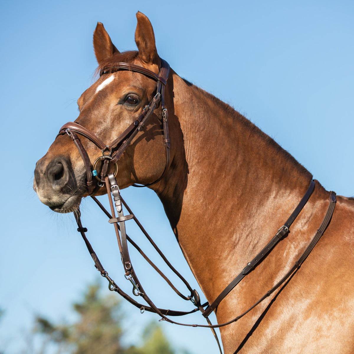 Acavallo Thiedemann Reins Tubular Nylon