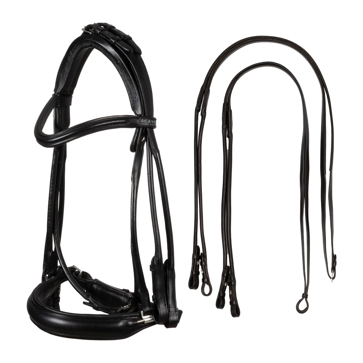Parnaso bridle double reins.