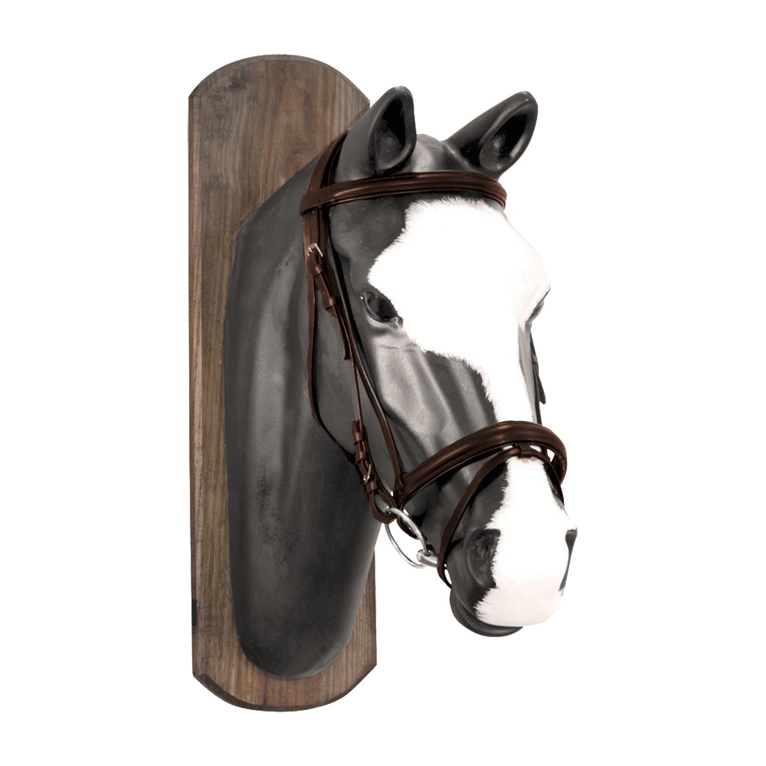 DERBY BRIDLE WITH COTTON REINS.