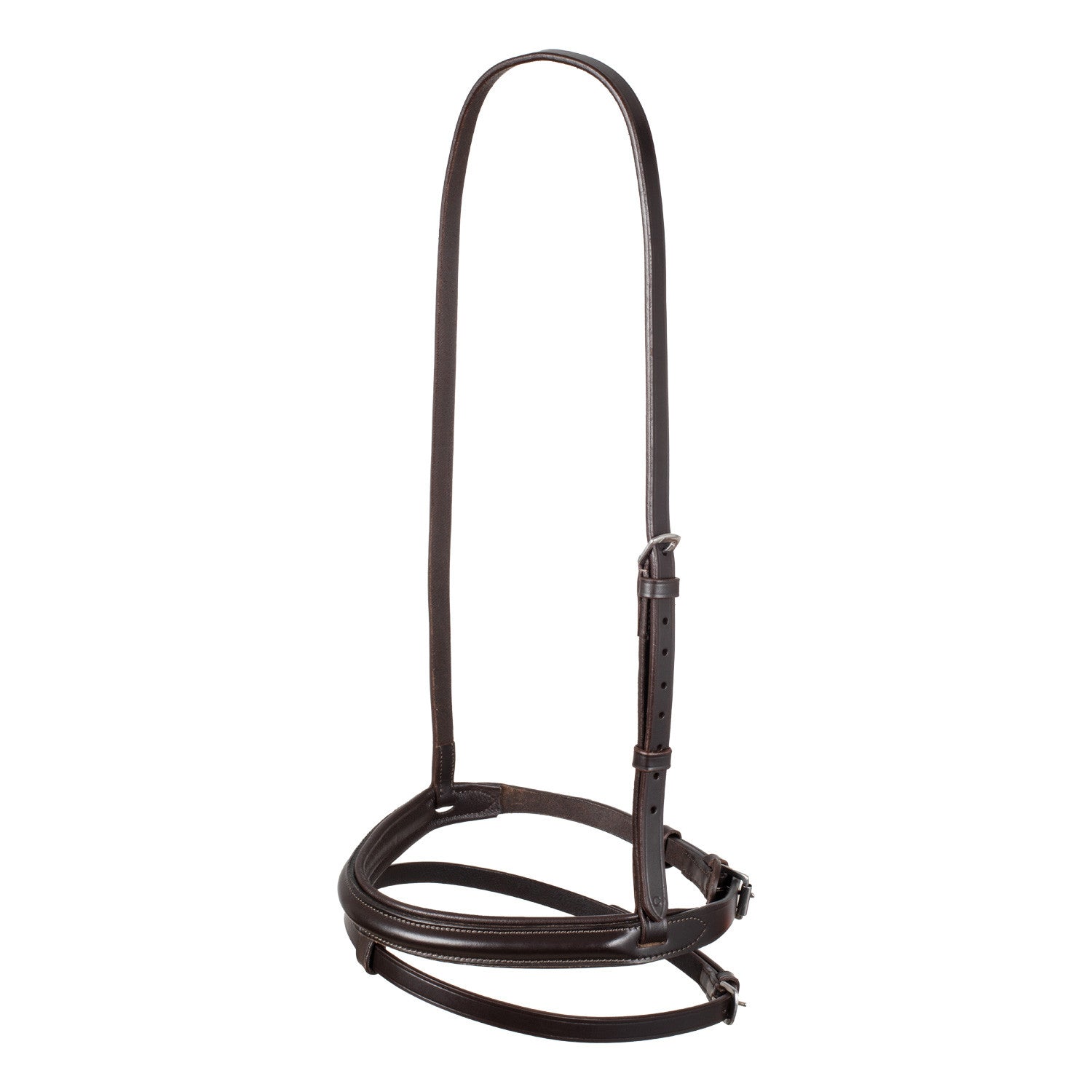 Leather flash noseband bridle.