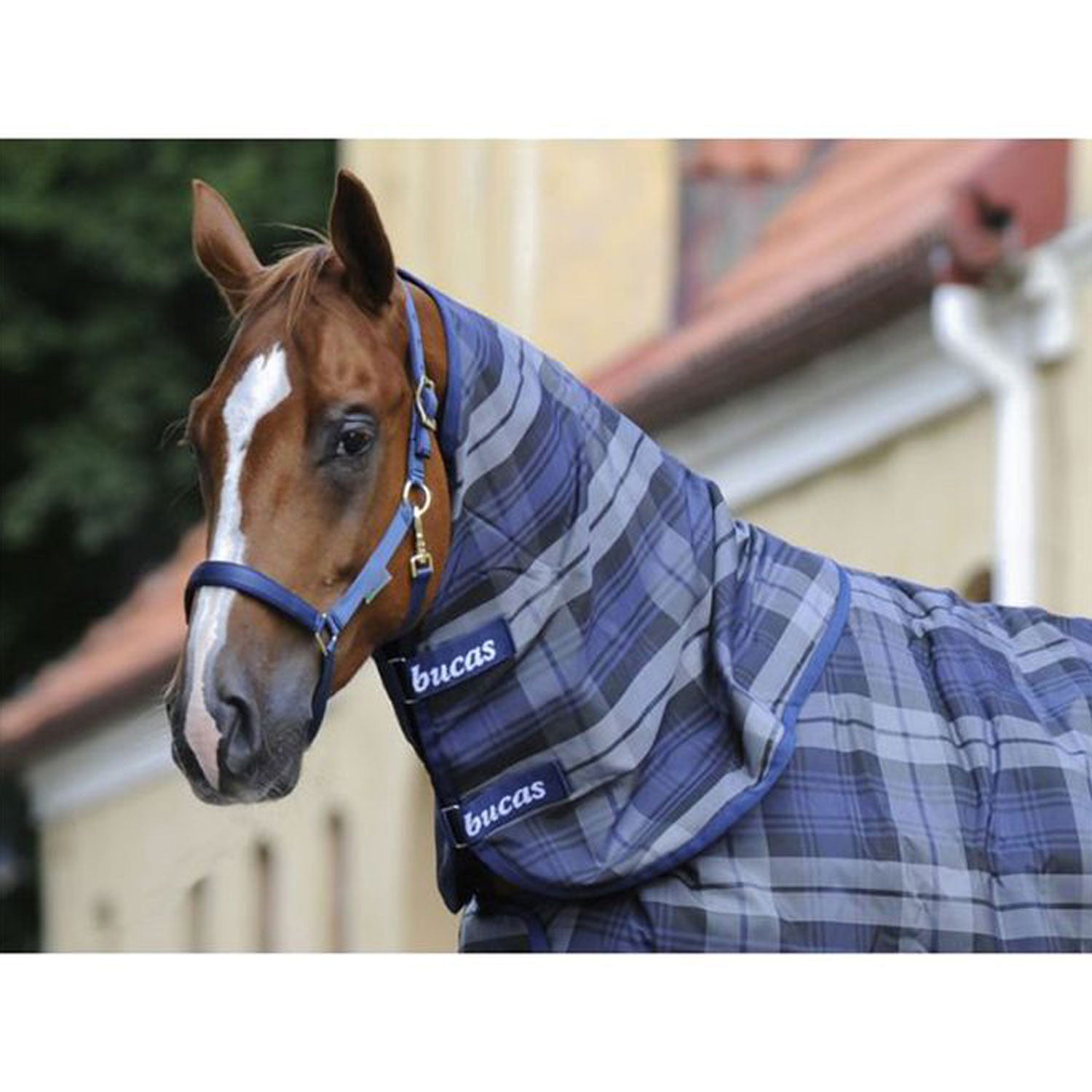 BUCAS STABLE NECK FOR CELTIC SD NAVY.