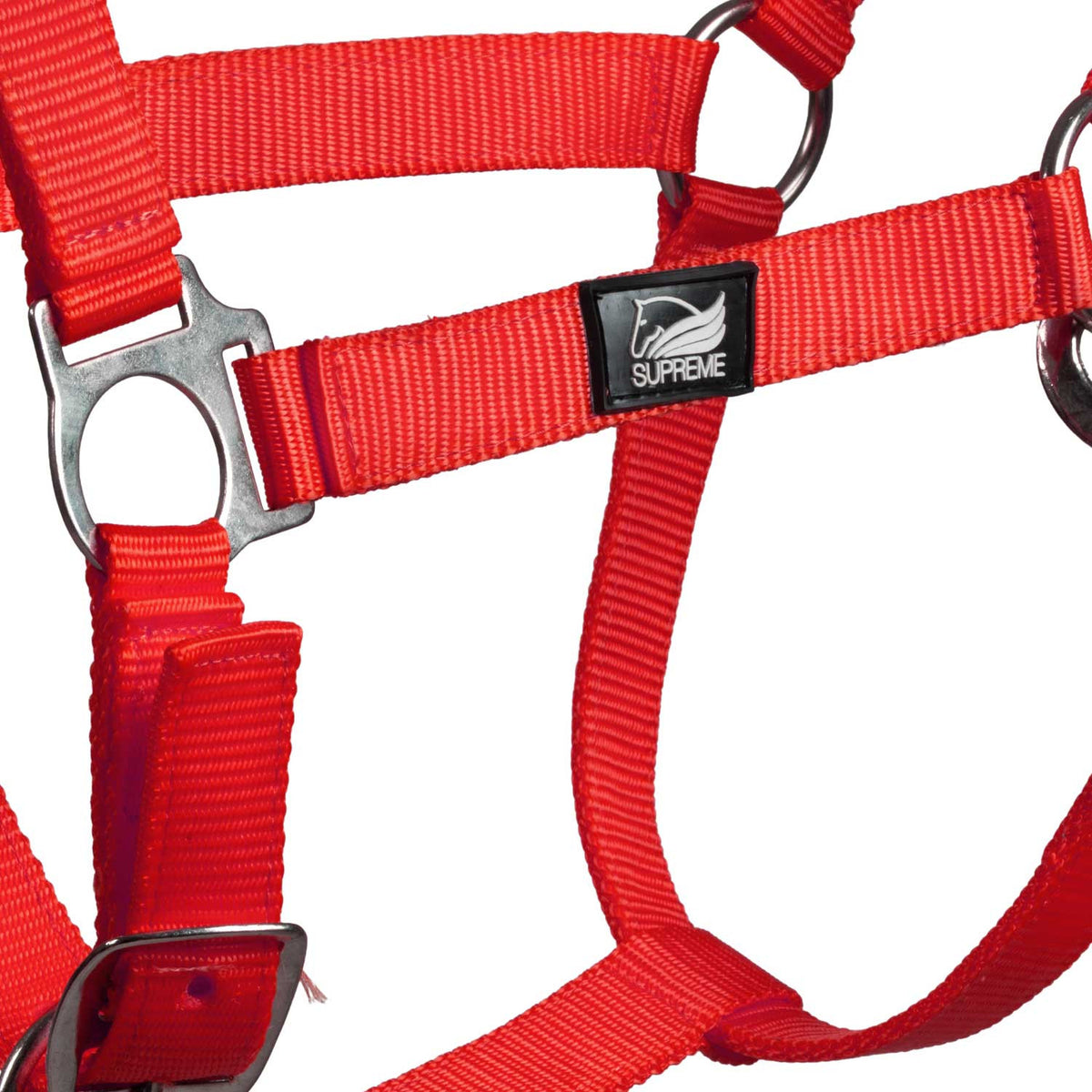 FOAL HALTER WITH DOUBLE ADJUSTMENT AND SNAP HOOK