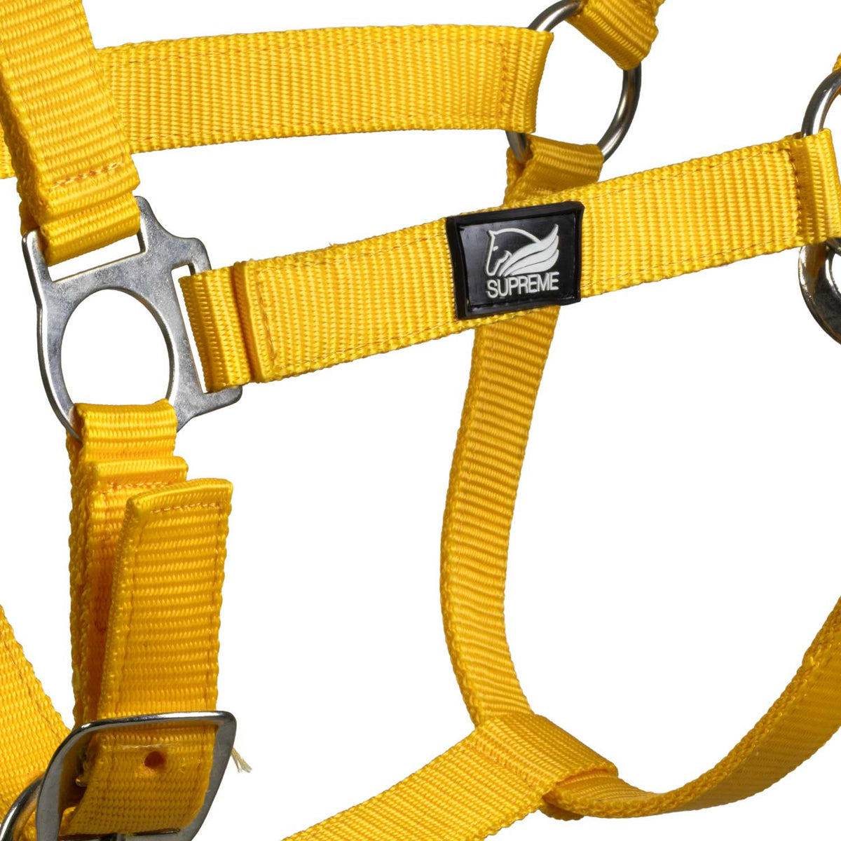 FOAL HALTER WITH DOUBLE ADJUSTMENT AND SNAP HOOK