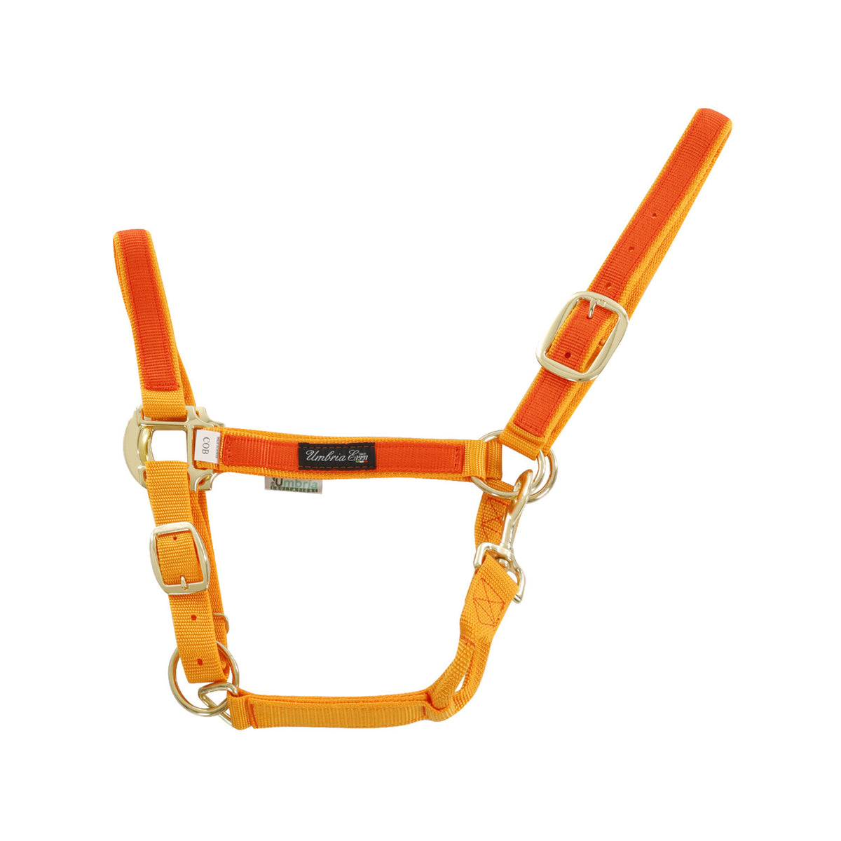 NYLON HALTER WITH COLORED PARTS