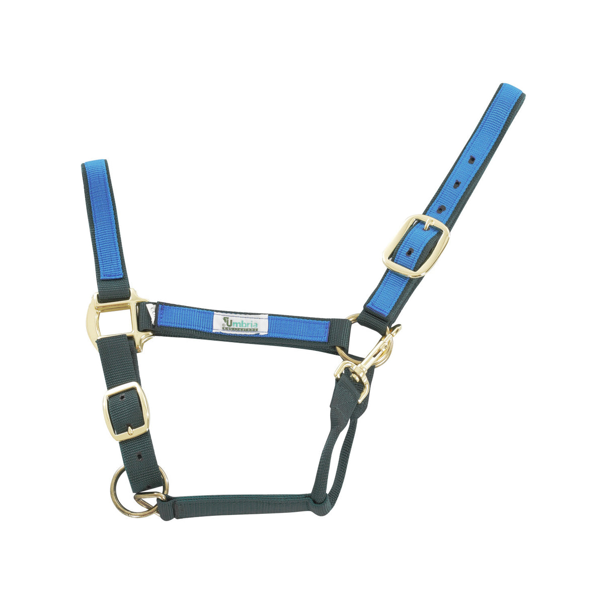 NYLON HALTER WITH COLORED PARTS