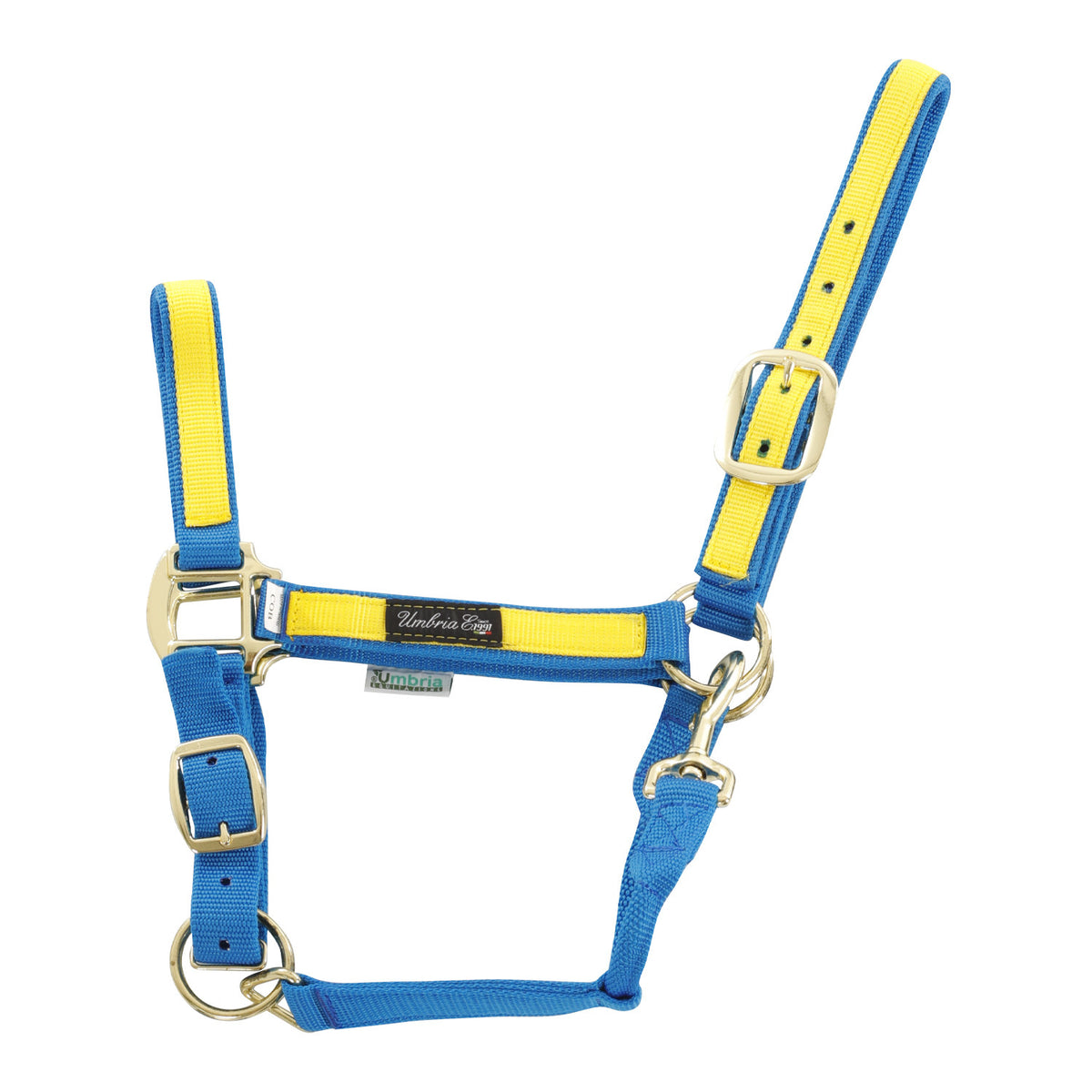 NYLON HALTER WITH COLORED PARTS
