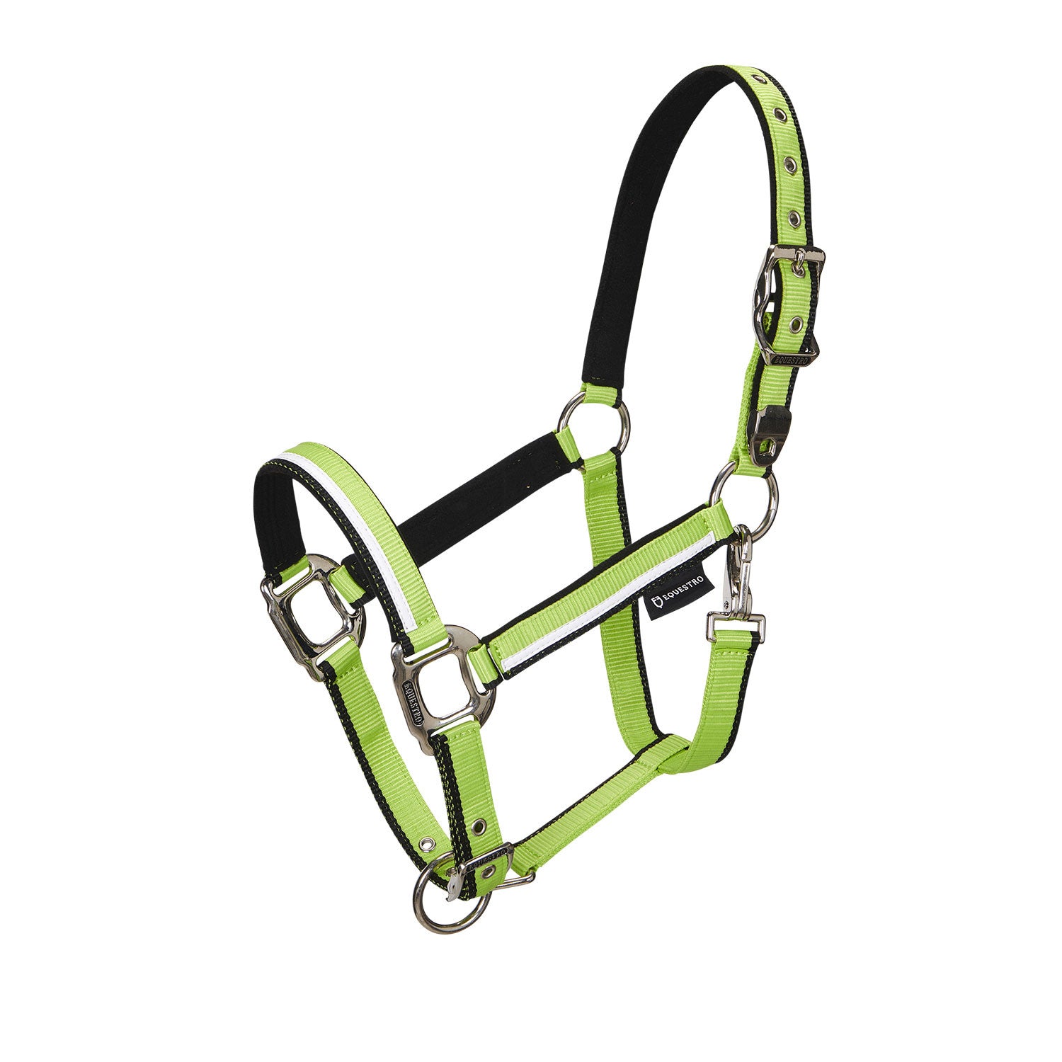 Halter with fleece padding and snap hook.