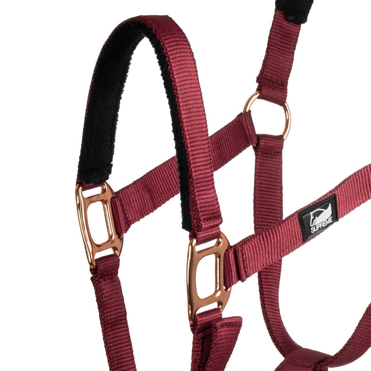 ROSE GOLD LINE NYLON HALTER + LEAD
