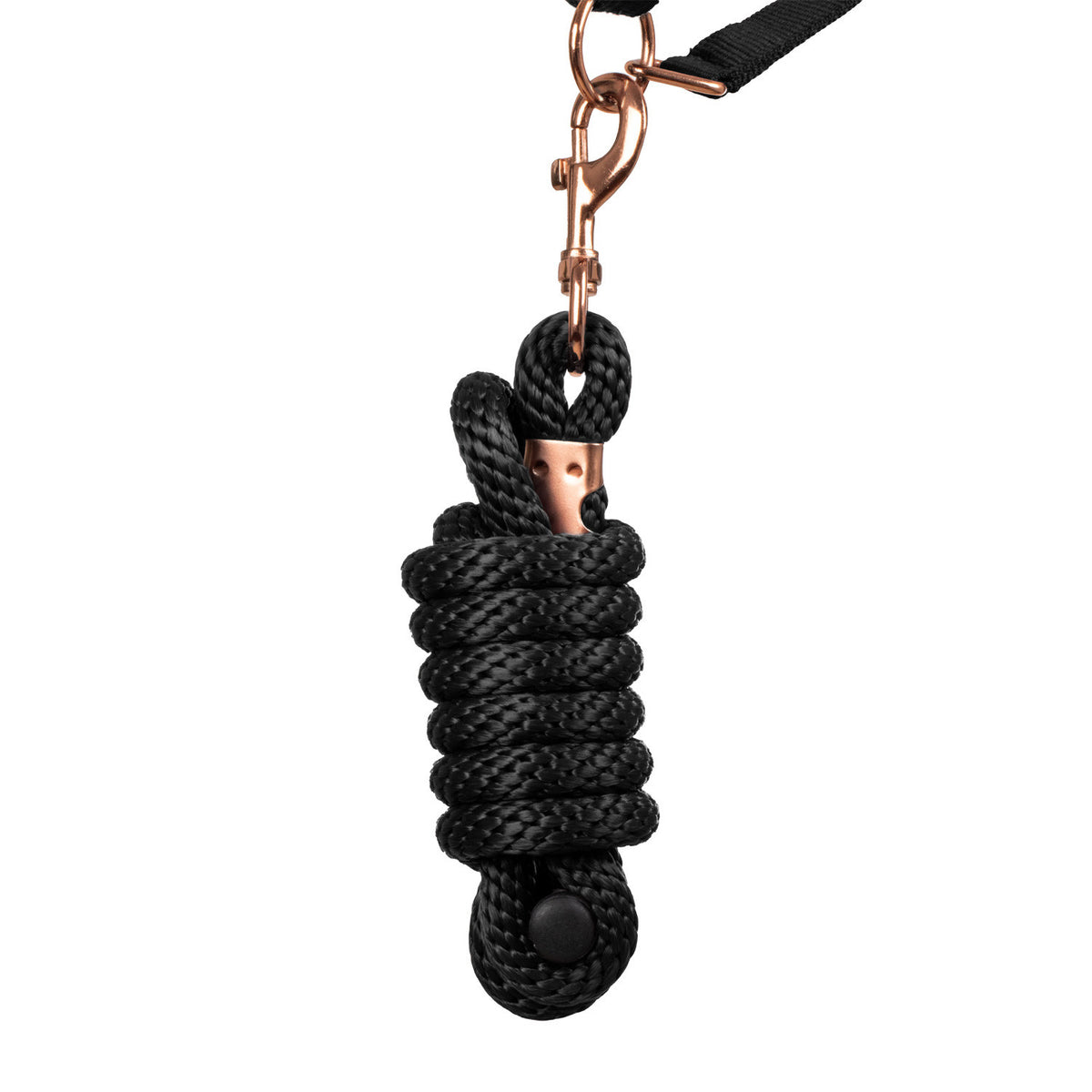 ROSE GOLD LINE NYLON HALTER + LEAD