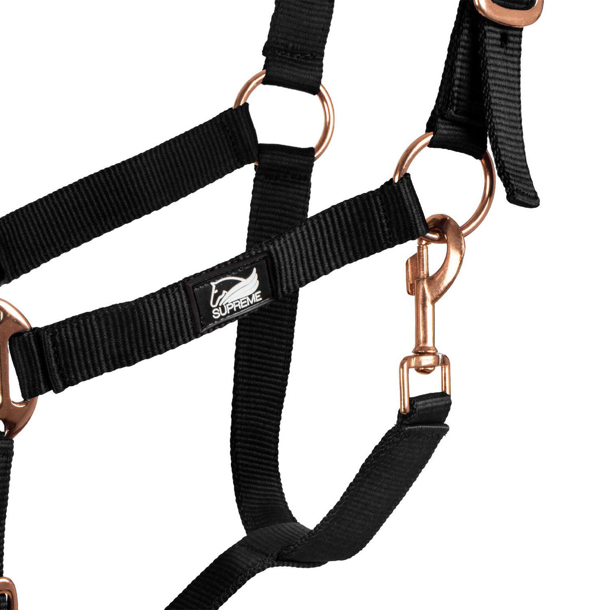 ROSE GOLD LINE NYLON HALTER + LEAD