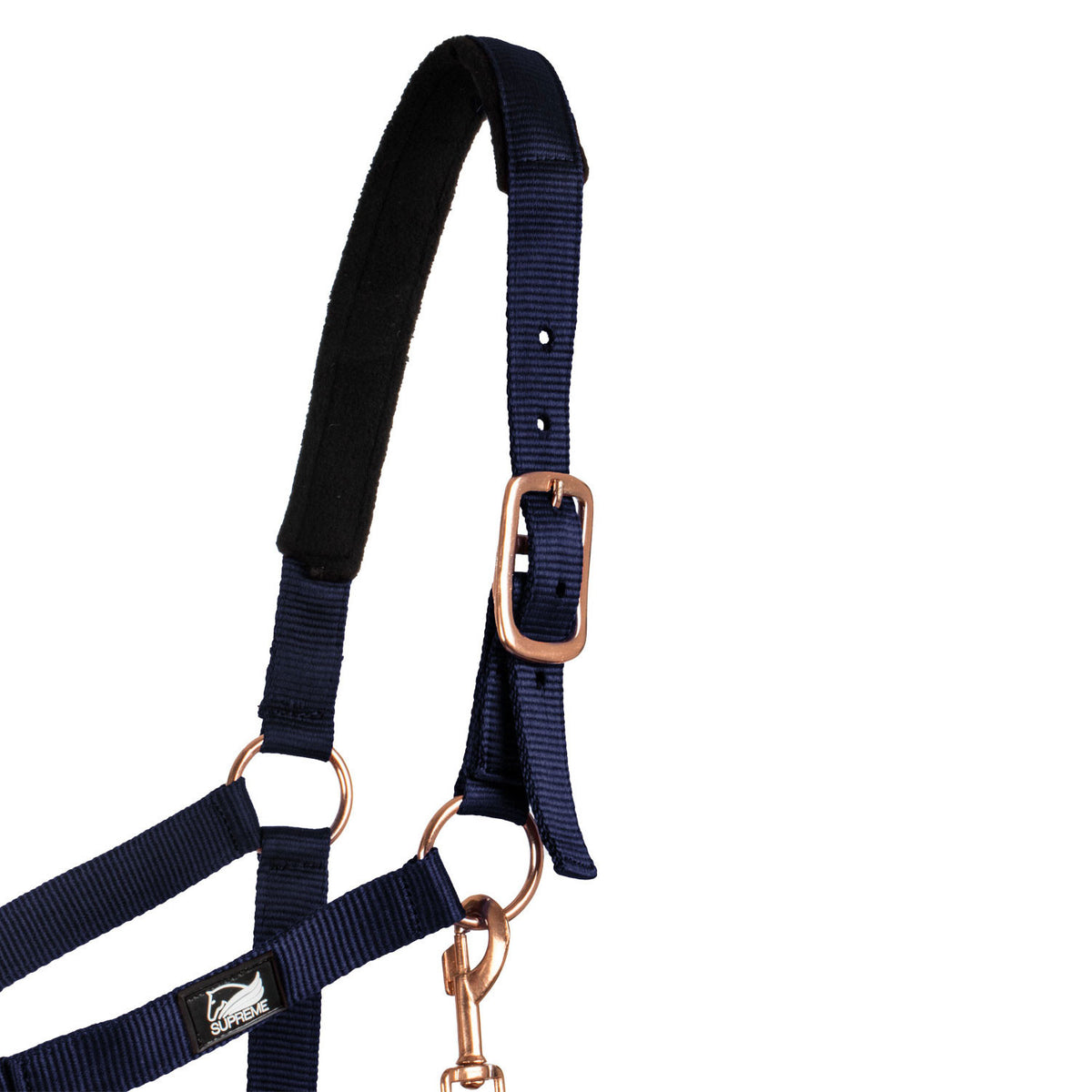 ROSE GOLD LINE NYLON HALTER + LEAD