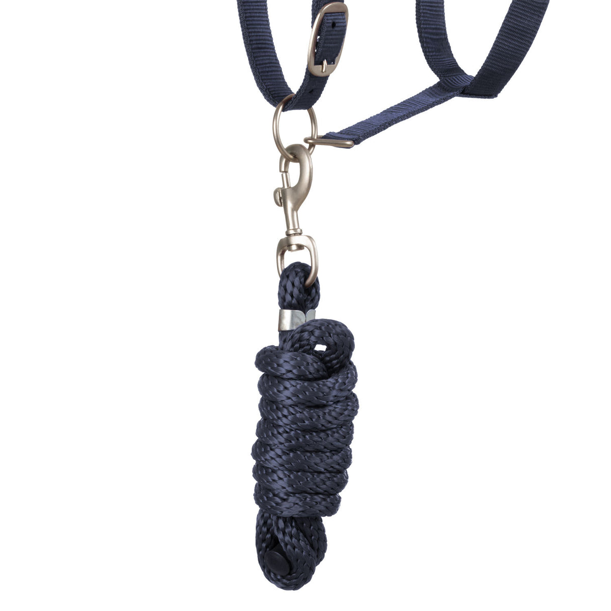 SYNTHETIC HALTER WITH LEAD SOLID COLOR WITH REFLECTIVE STRIPES