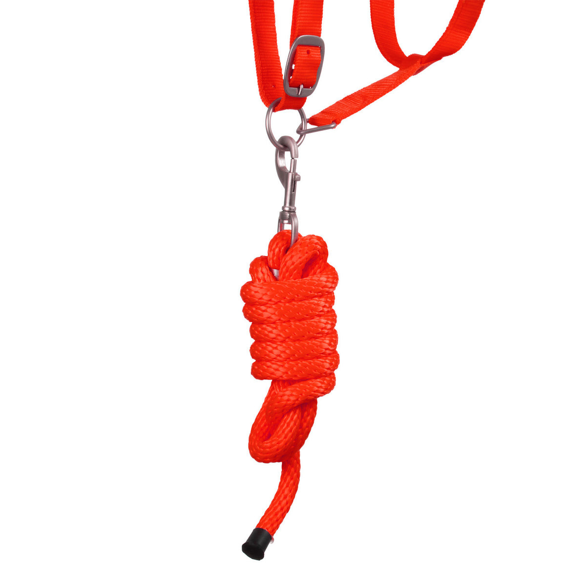 SYNTHETIC HALTER WITH LEAD SOLID COLOR WITH REFLECTIVE STRIPES