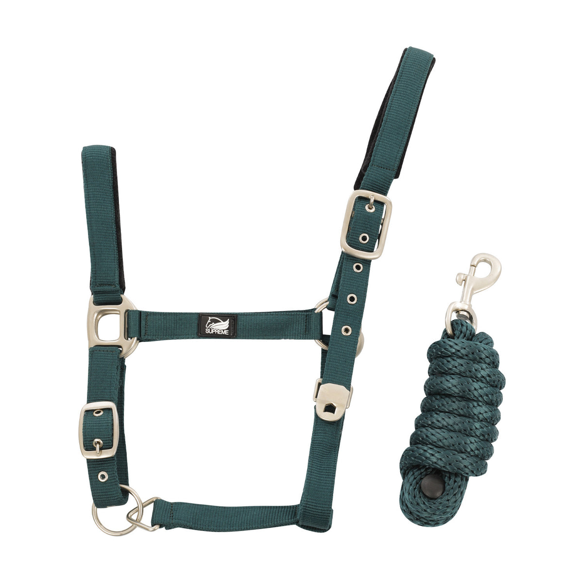 NYLON HALTER WITH LEATHER REINFORCEMENT. COMPLETE WITH LEAD