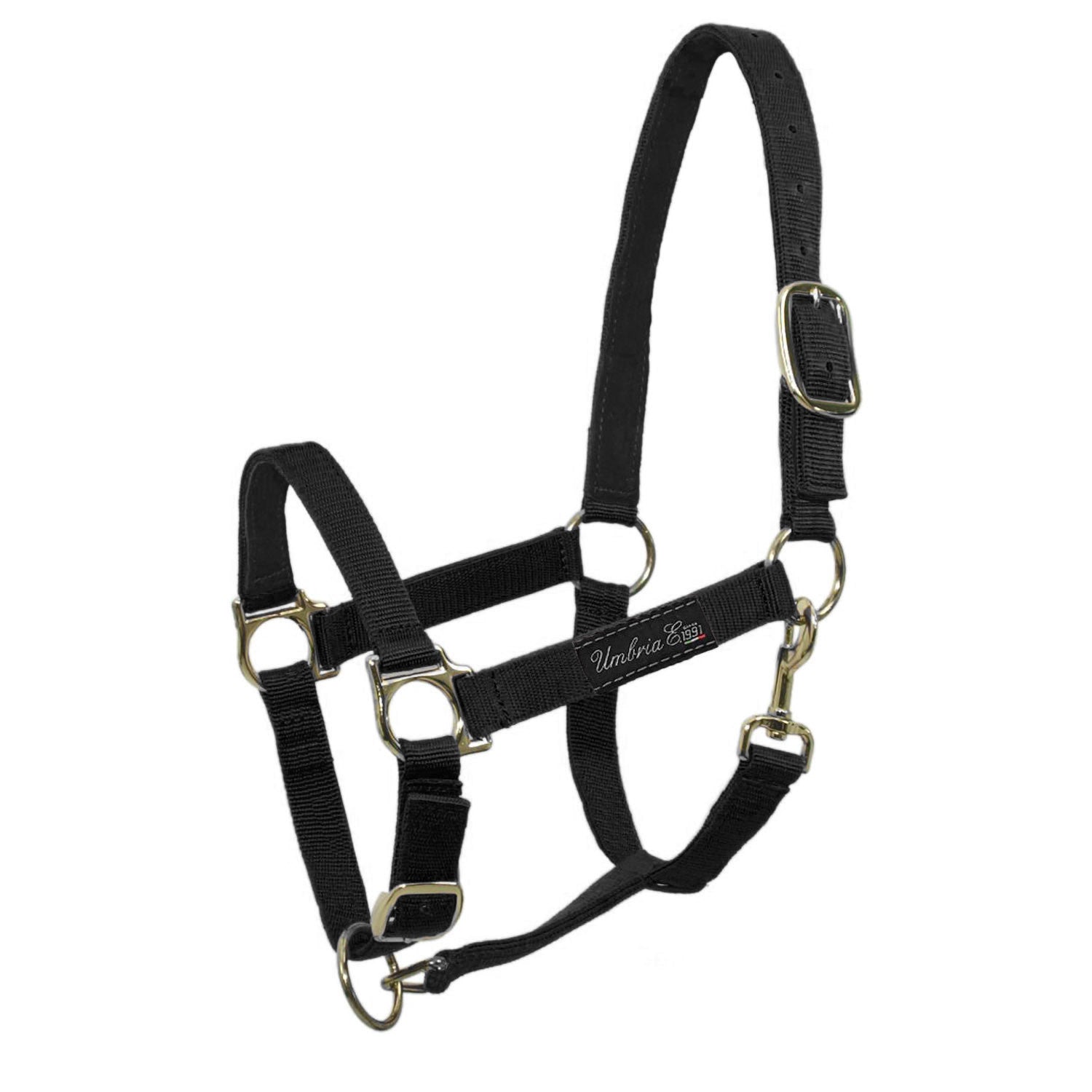 NYLON HALTER WITH LEATHER REINFORCEMENT.