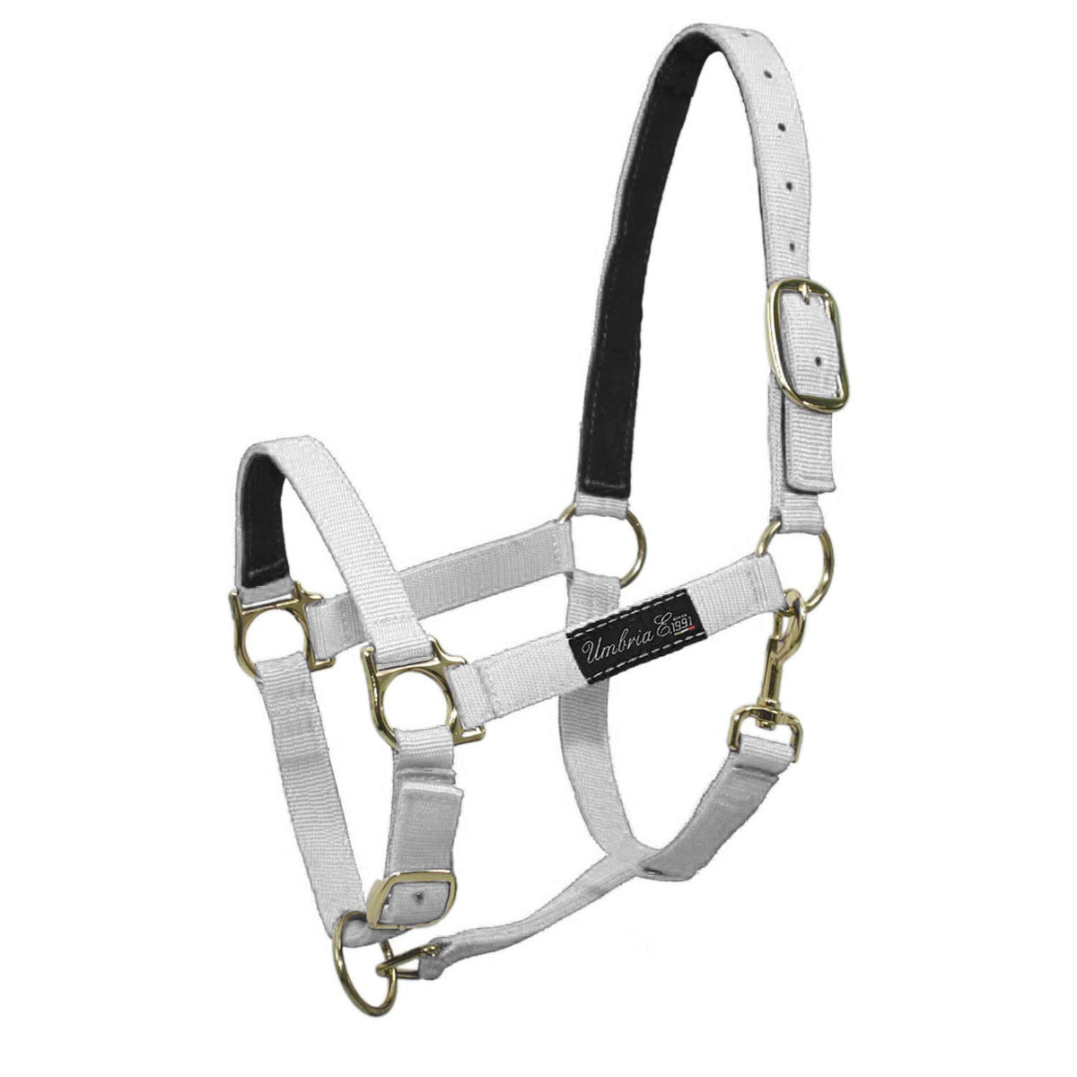 NYLON HALTER WITH LEATHER REINFORCEMENT