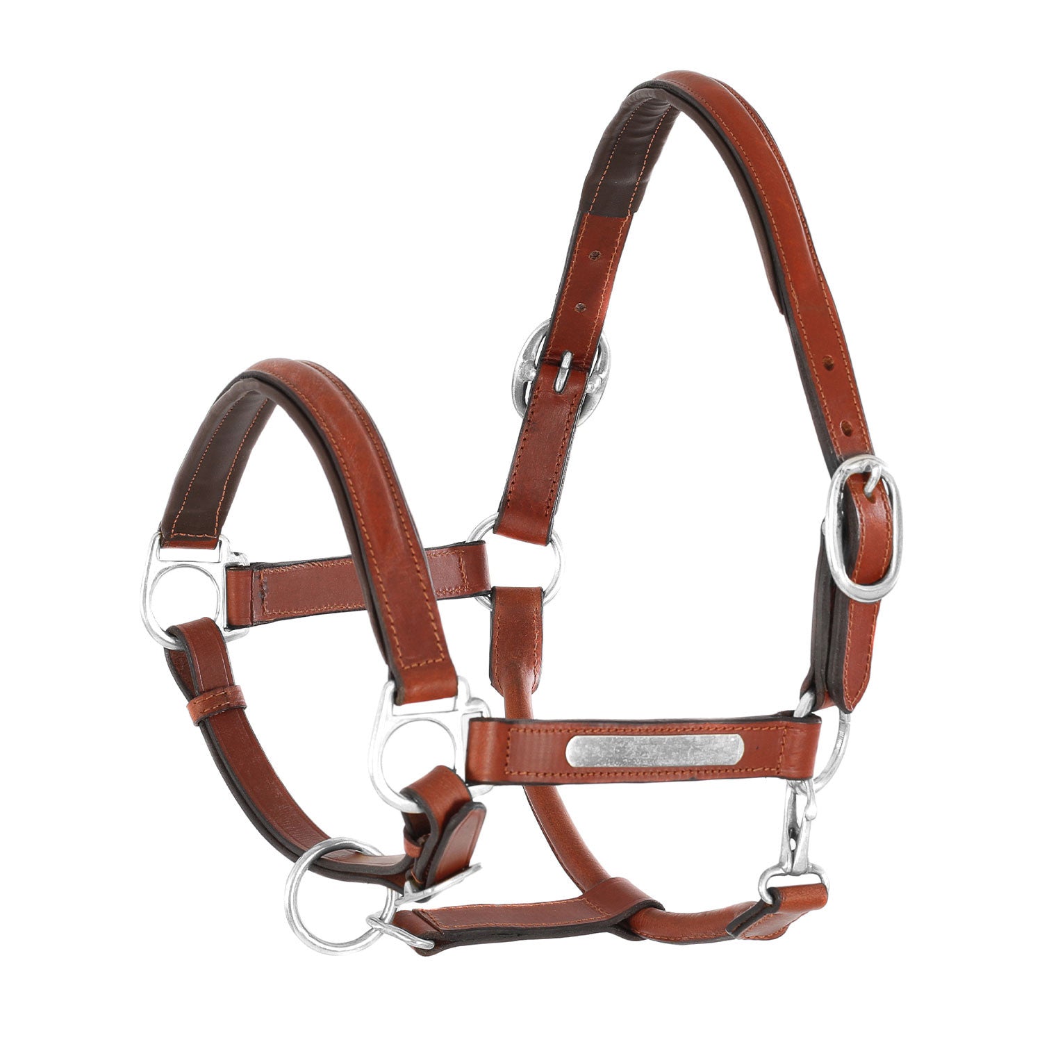 LEATHER HALTER WITH BRASS NAMEPLATES.