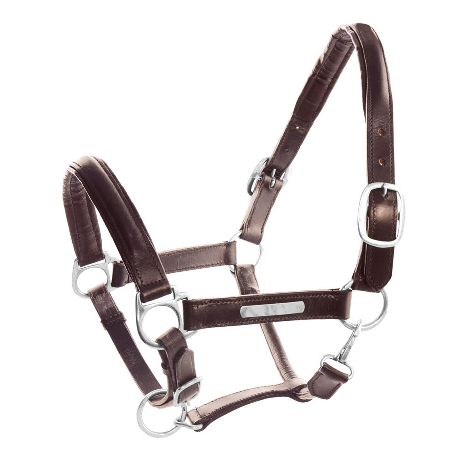 LEATHER HALTER WITH BRASS NAMEPLATES.