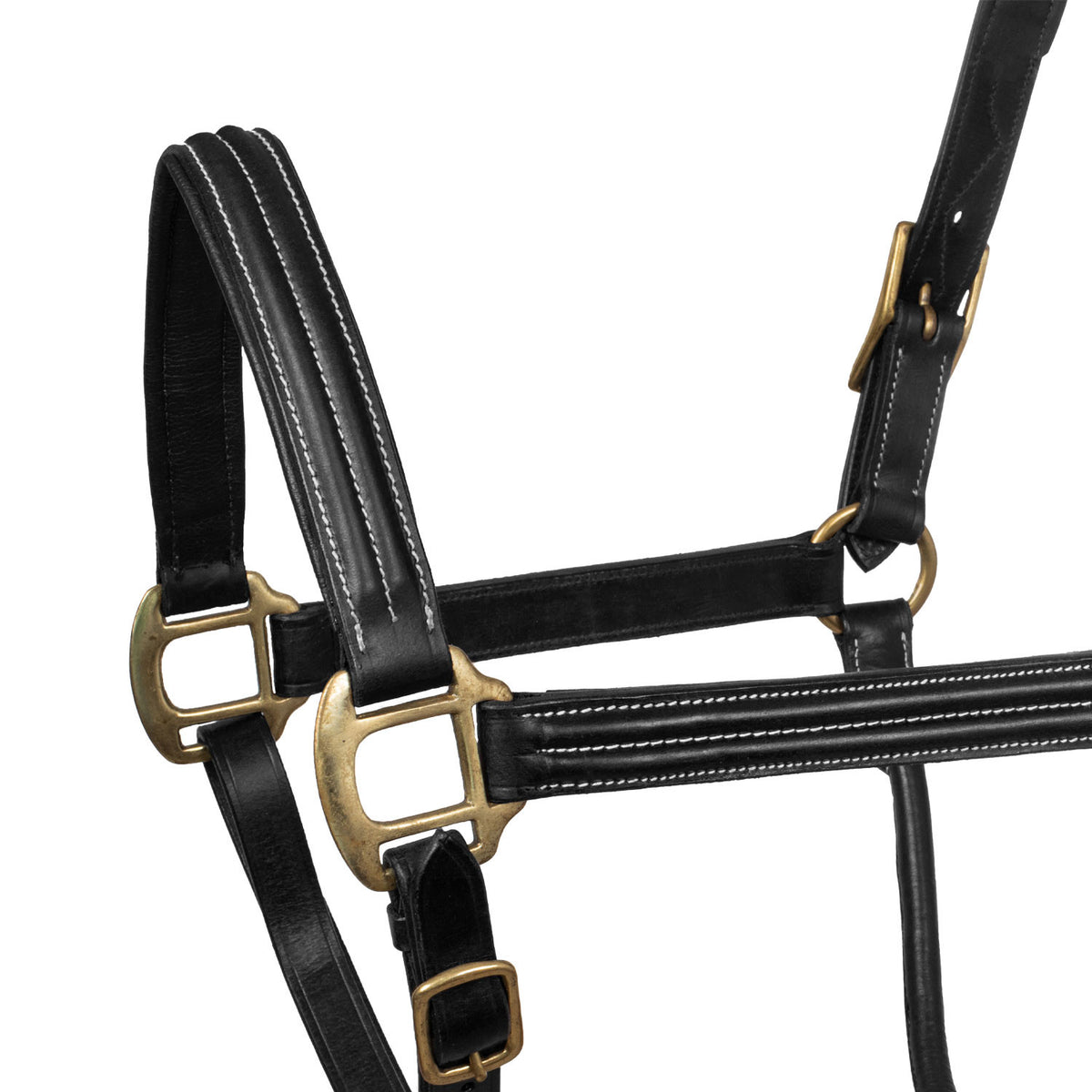 SUPREME TRIPLE LEATHER HALTER