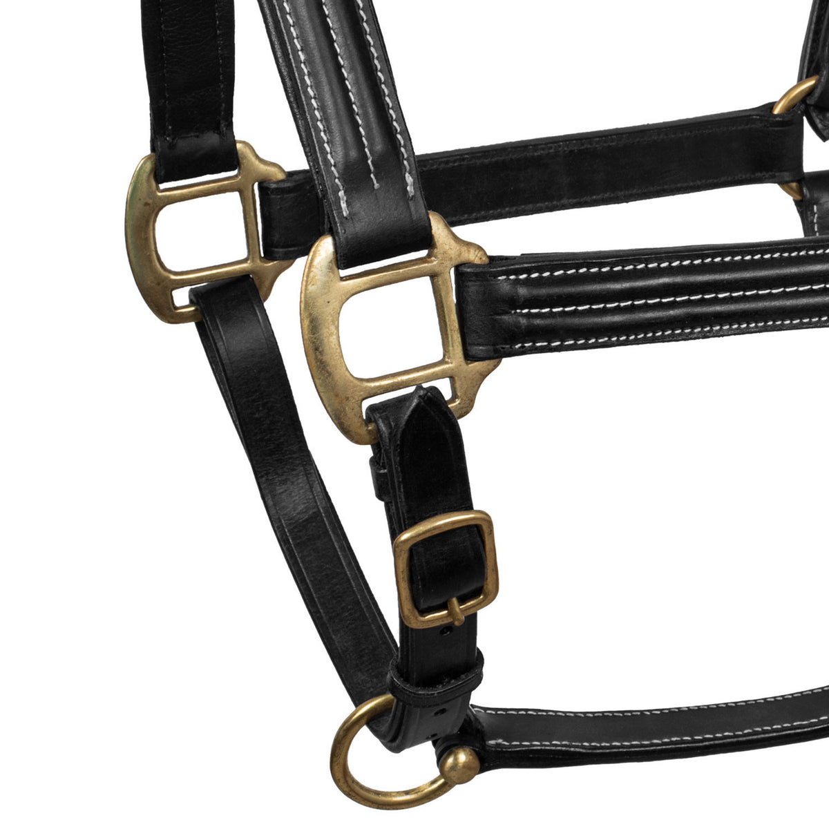 SUPREME TRIPLE LEATHER HALTER