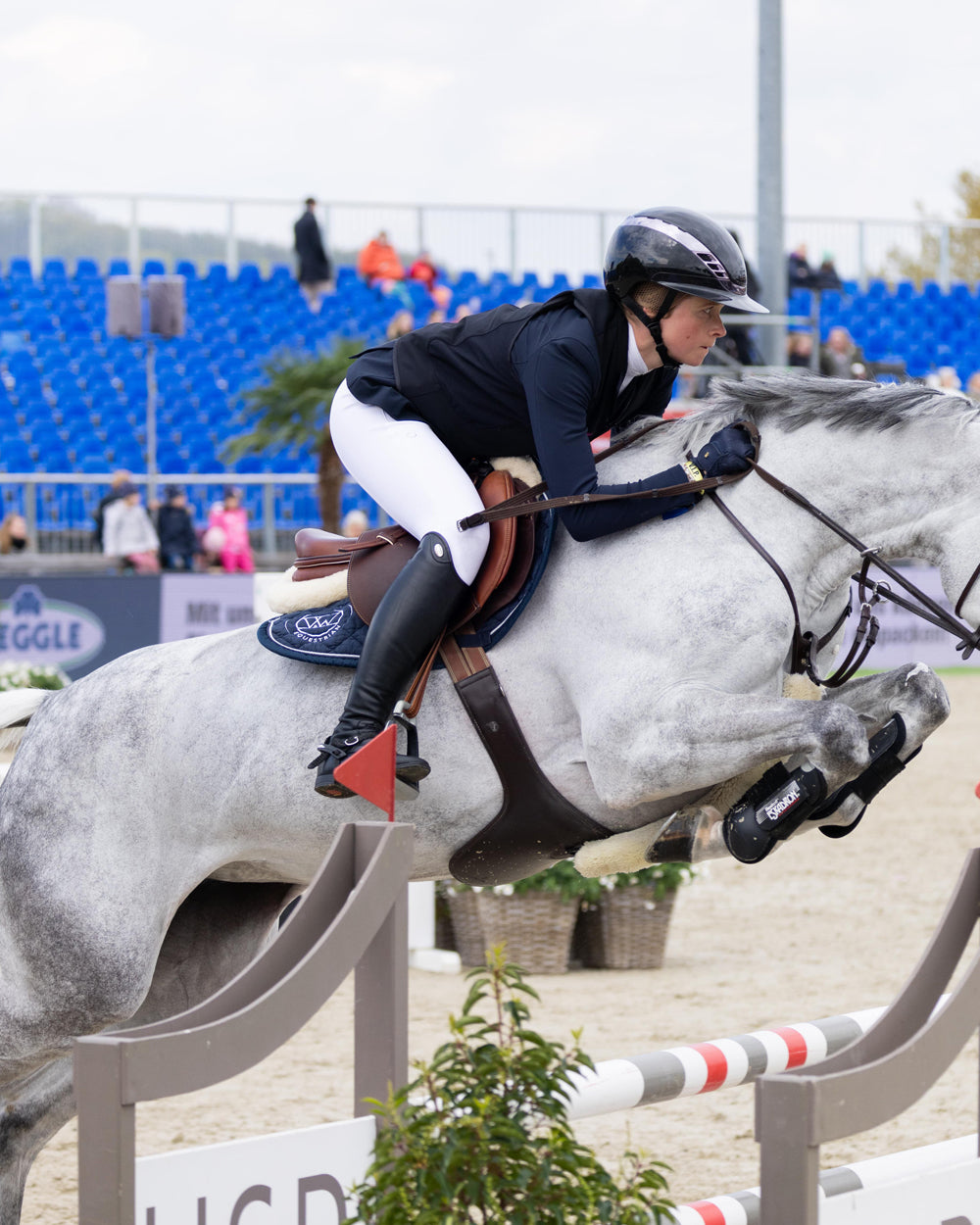 Pikeur Candela Full Grip Ladies Breeches - COMPETITION COLOURS 241706/141706.