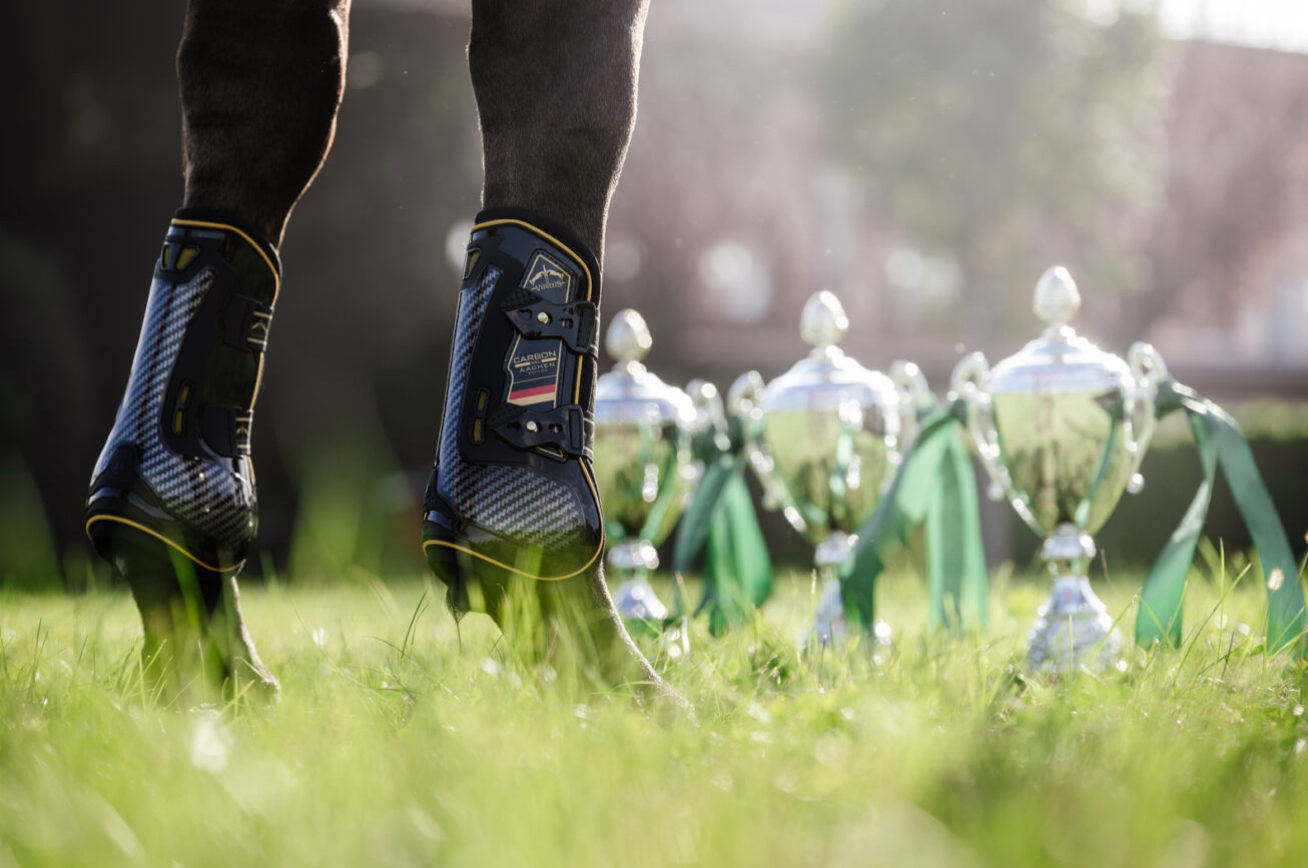 Carbon Gel Absolute Rear Fetlock Boot *Aachen Edition*.