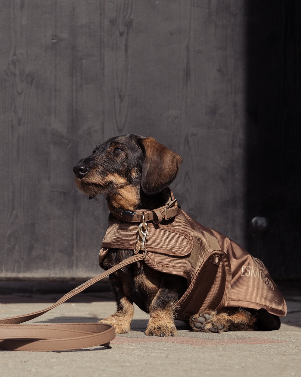 Eskadron Faux Leather Dog Collar and Lead Set Heritage 2024 - Cognac.