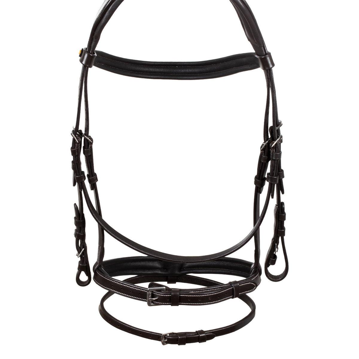 Raised and padded anatomical bridle
