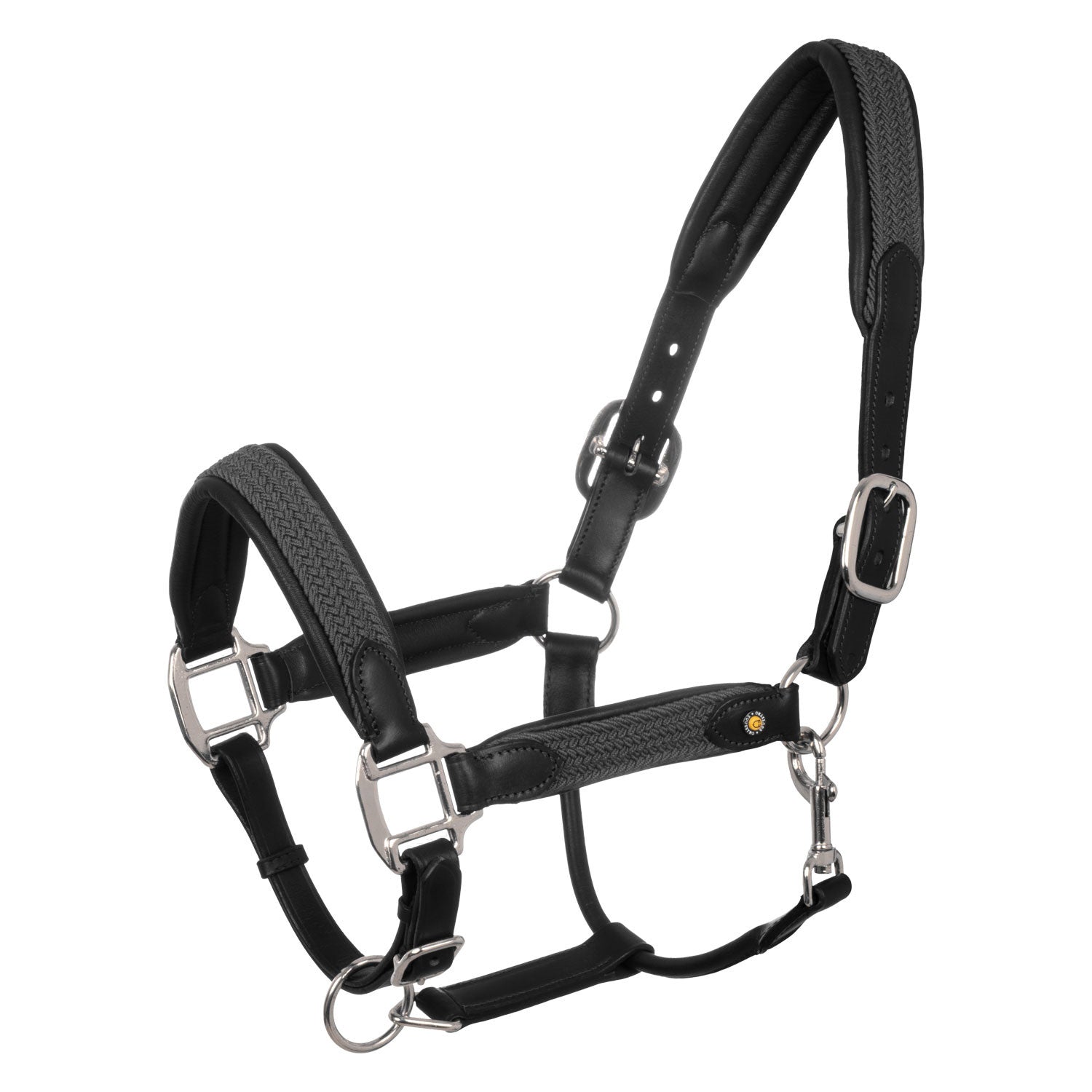 Leather halter with braided nylon inserts.