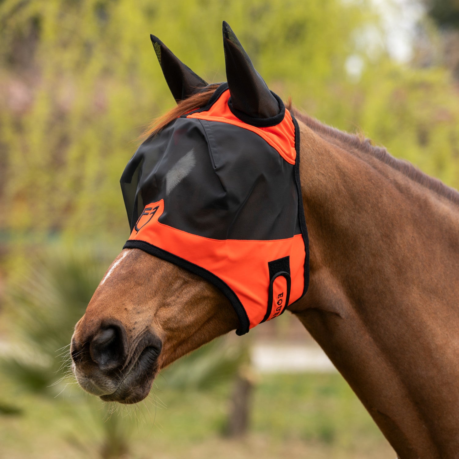 Fly mask with front logo.