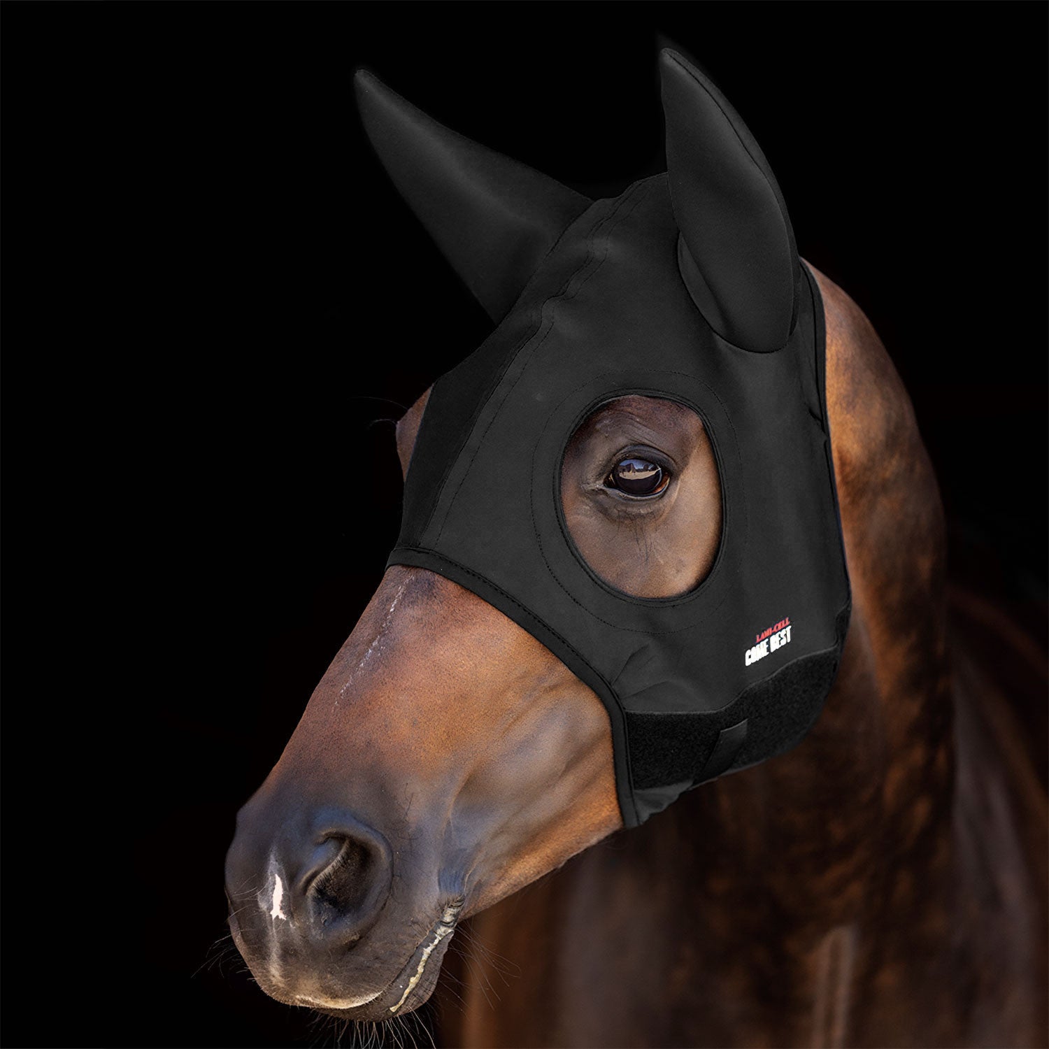 TITANIUM MASK COME BEST WITH EARS.