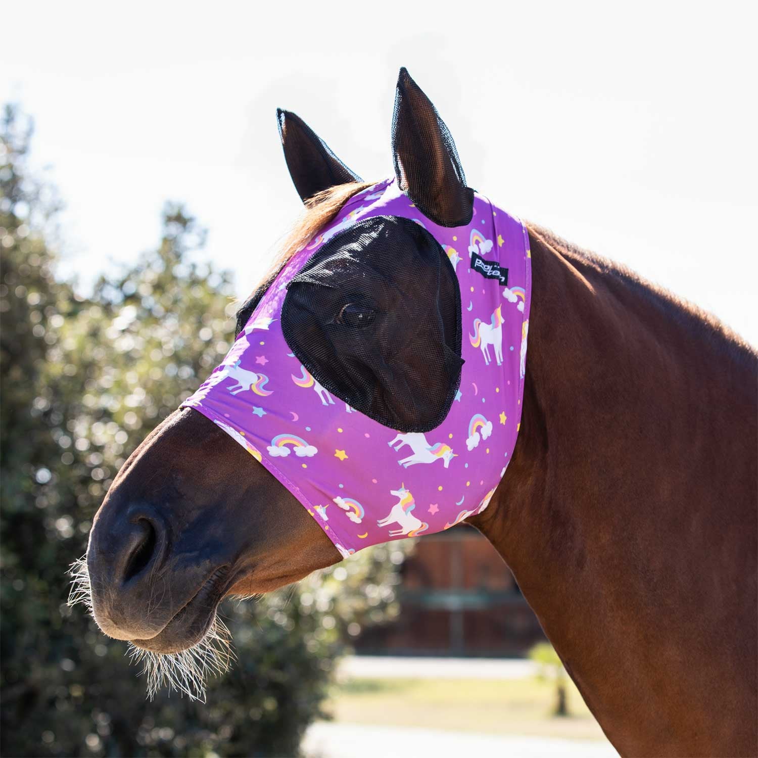 Anti-fly mask with ear cover net.