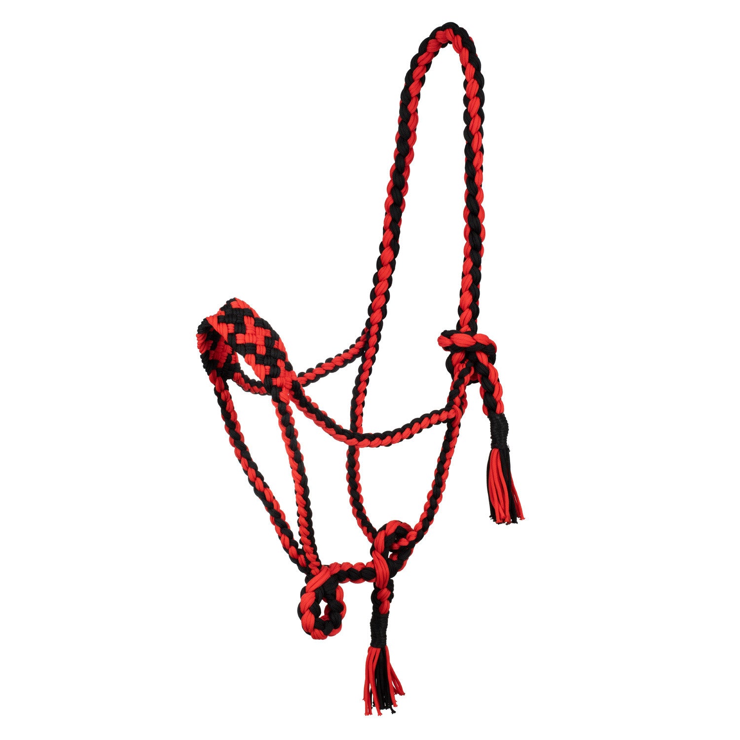 Braided nylon halter.