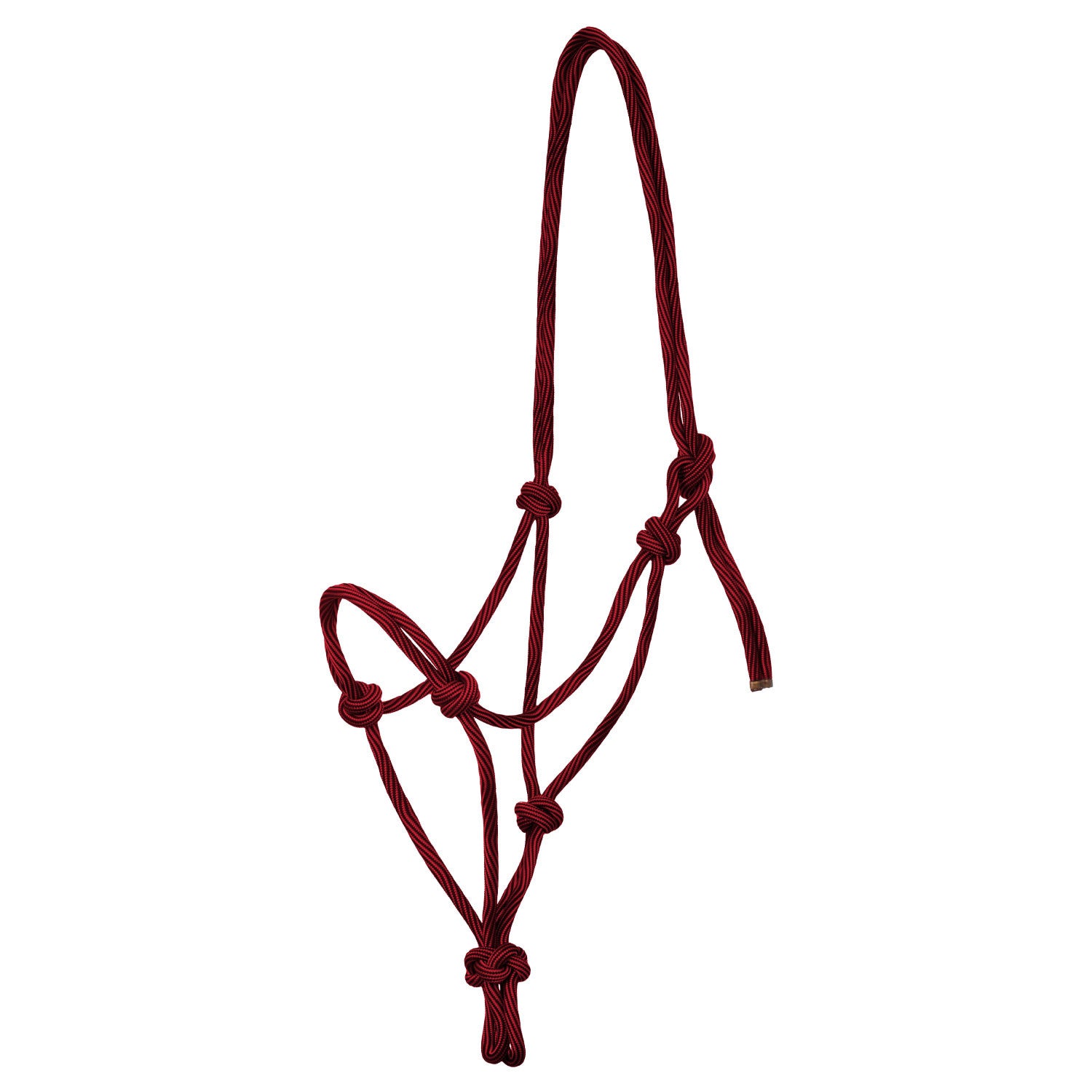 Adjustable knotted rope halter.