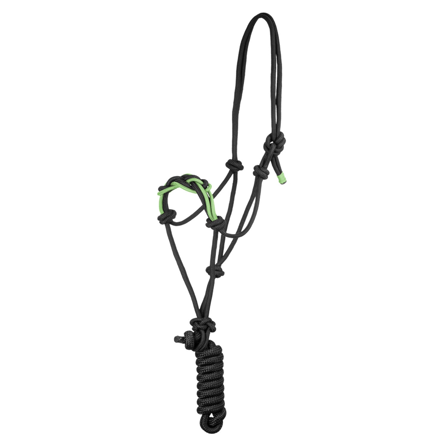 Halter with braided rope on the nose.