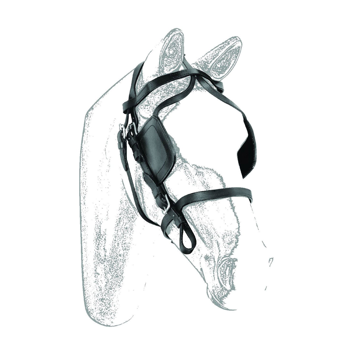 BRIDLE FOR HARNESS.
