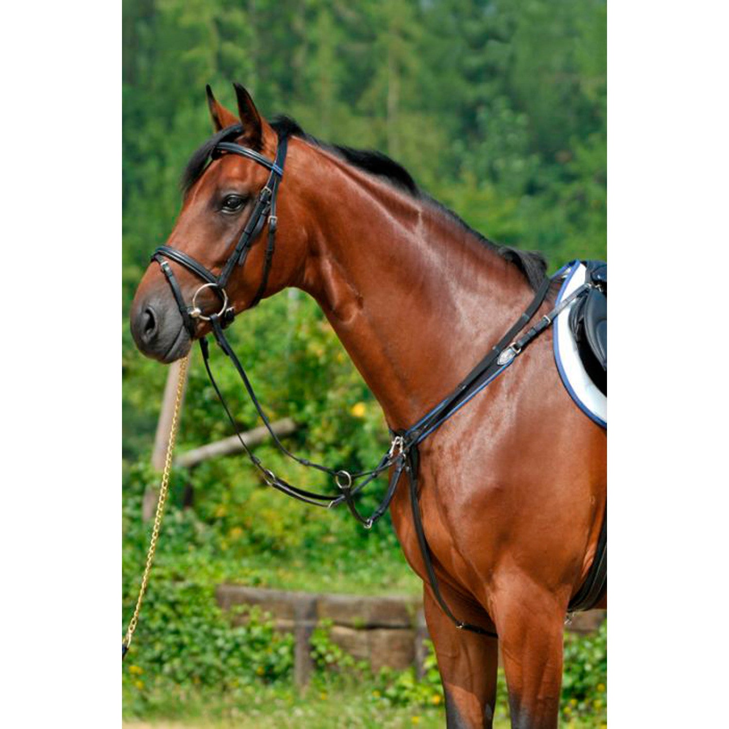 BREASTPLATE WITH ELASTIC AND RUNNING ATTACHMENT.