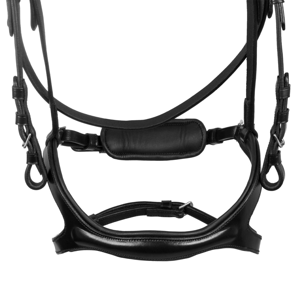 Snaffle bridle with anatomical curved noseband