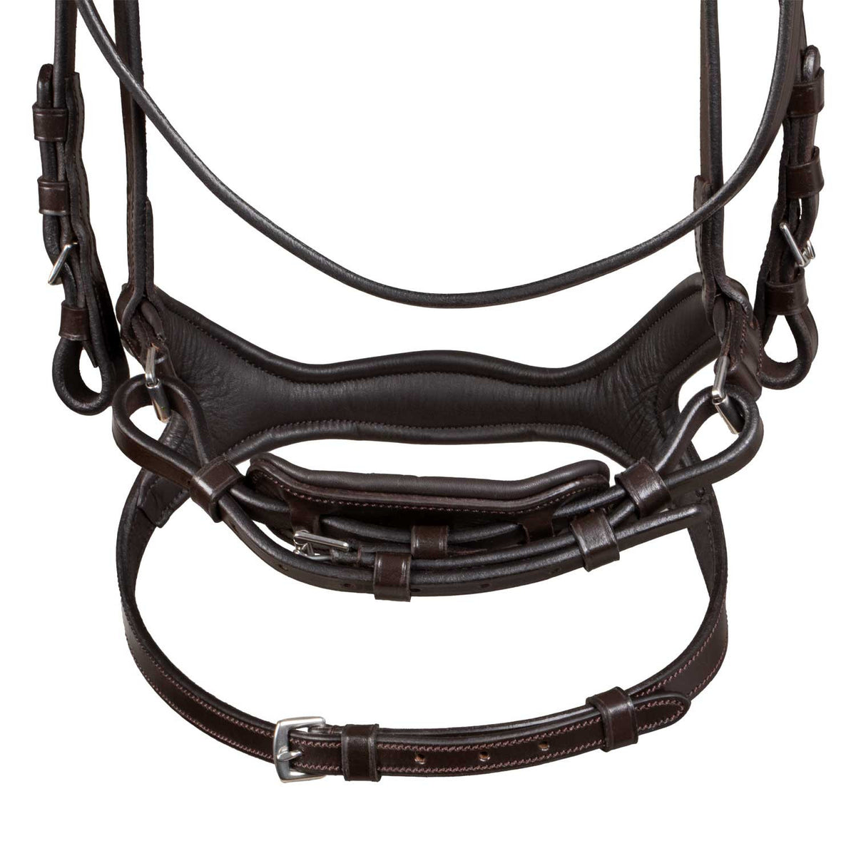 Snaffle bridle with anatomical curved noseband