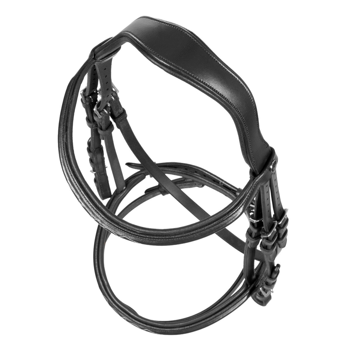 Raised bridle with decorative embroidery