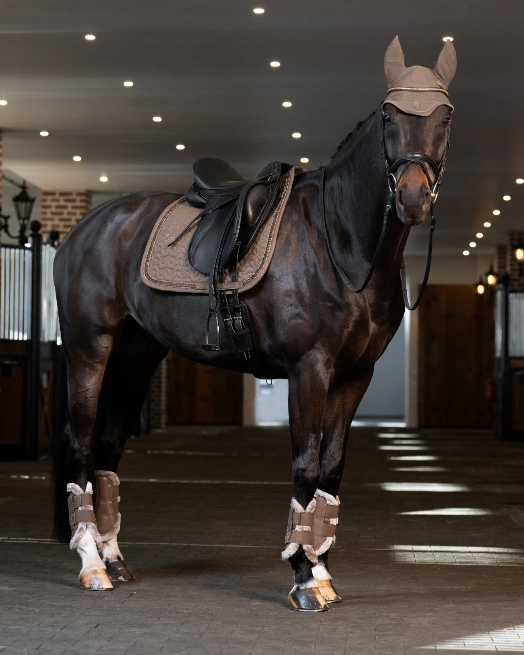 Eskadron Sparkle Jewel Saddle Pad Platinum 25.