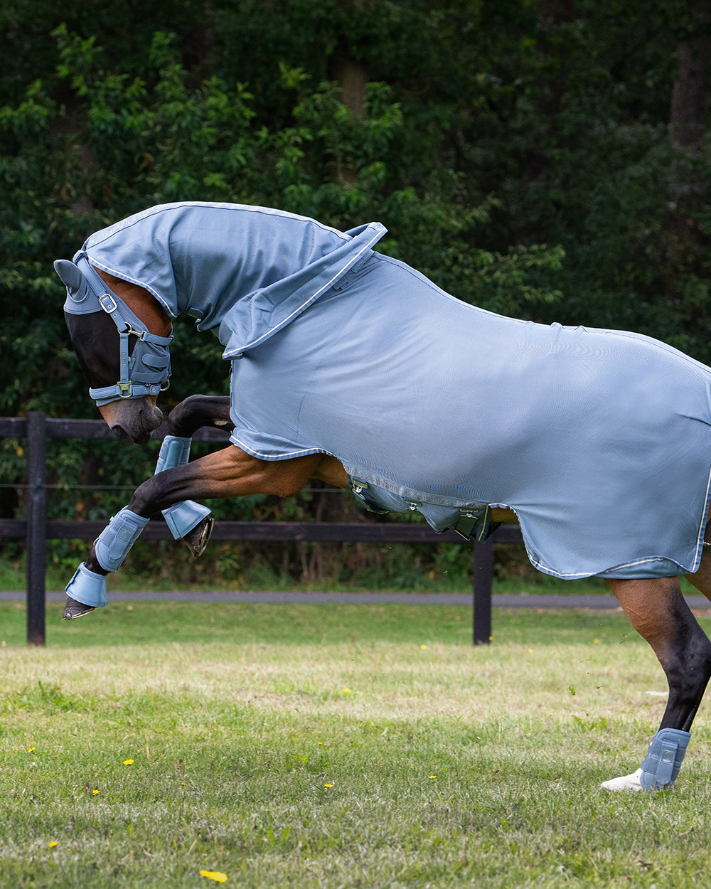 Eskadron Detach-A-Neck Fly Rug CS25.