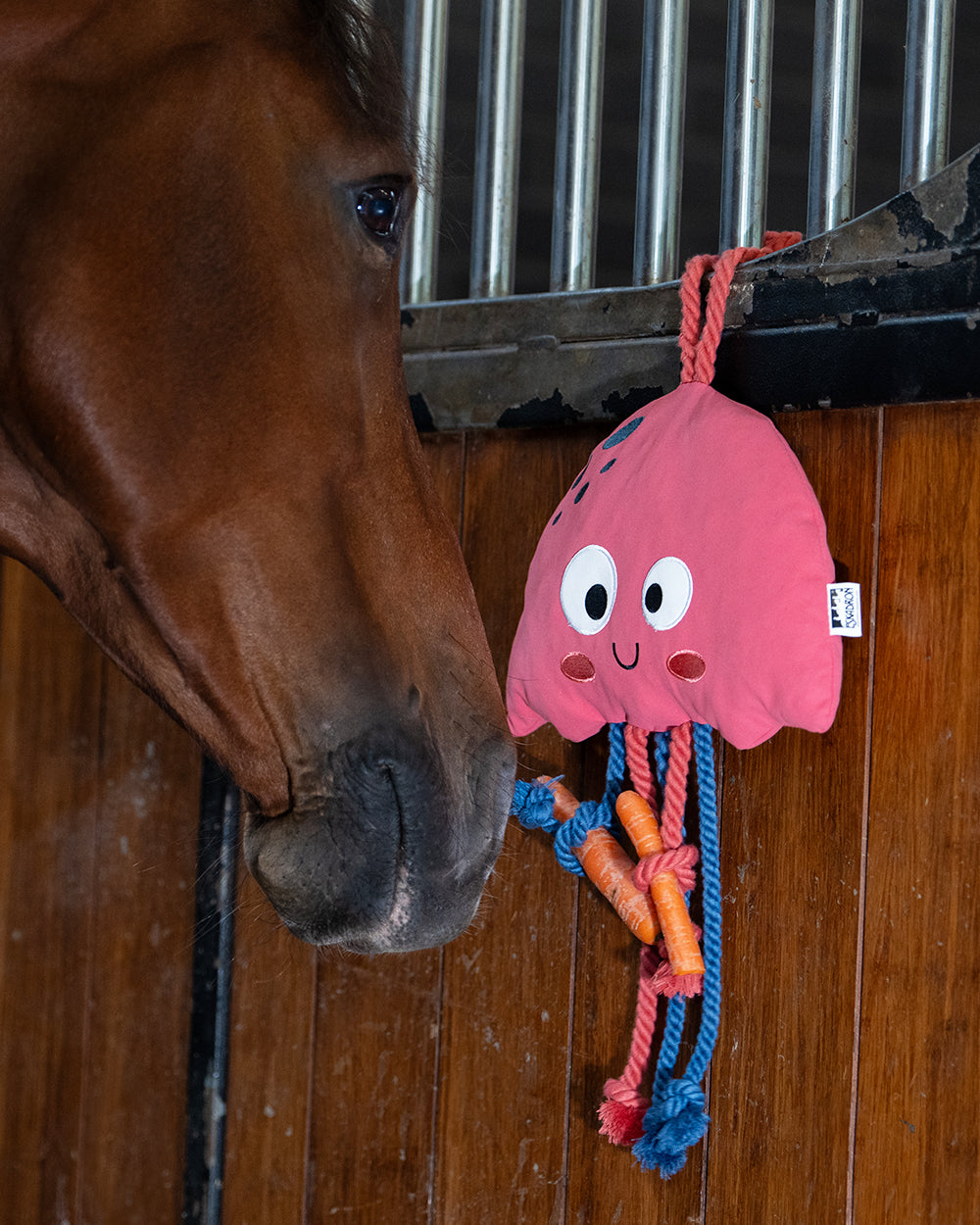 Eskadron Jellyfish Horse Toy CS25.