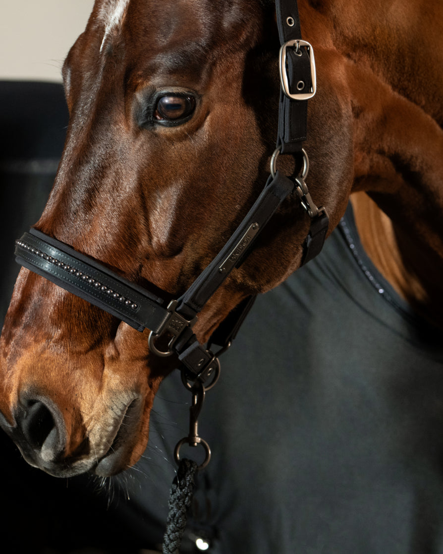 Eskadron Double Pin Softshell Pearls Headcollar Platinum 25.