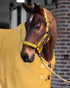 Eskadron Double Pin Faux Leather Headcollar Platinum 25.