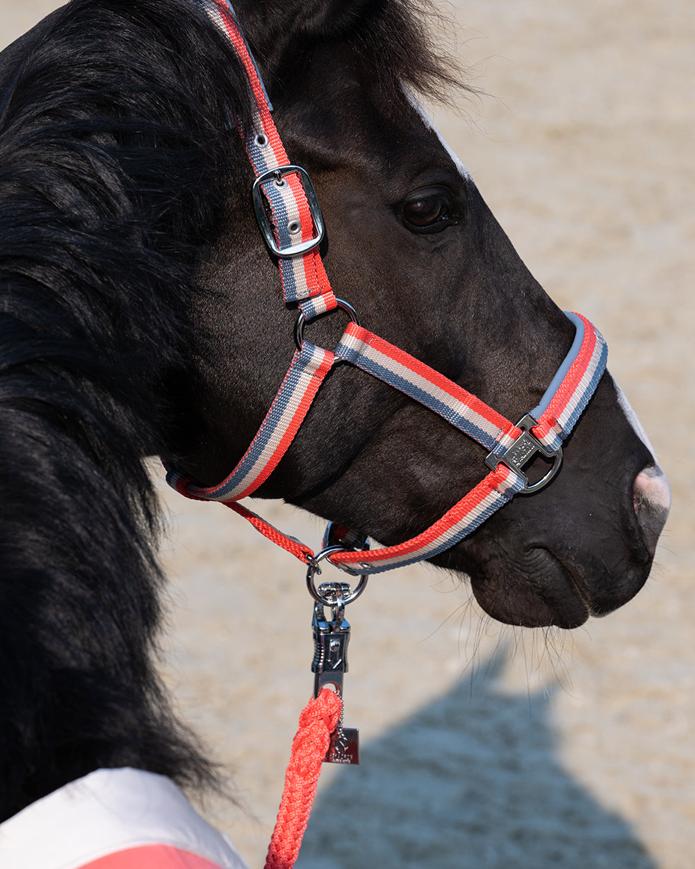 Eskadron Double Pin Headcollar CS25.